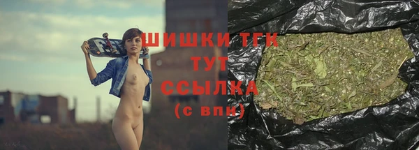 бошки Ельня
