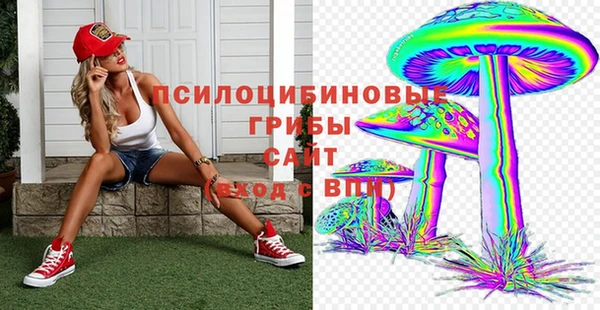 spice Елизово