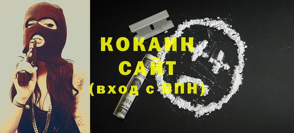 бошки Ельня