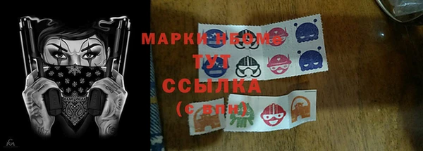 бошки Ельня