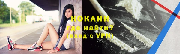 бошки Ельня