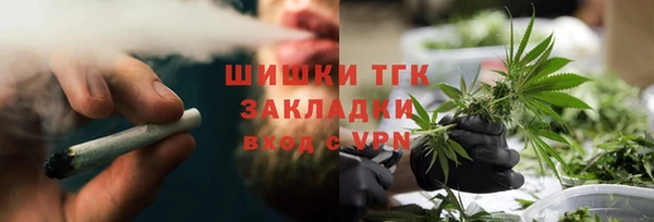 бошки Ельня