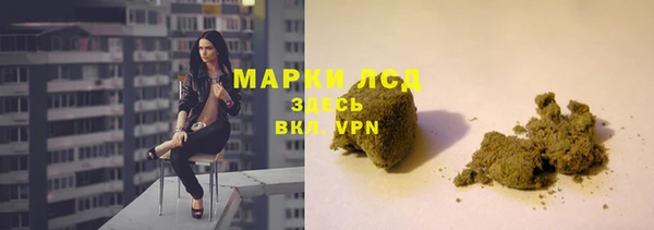 spice Елизово