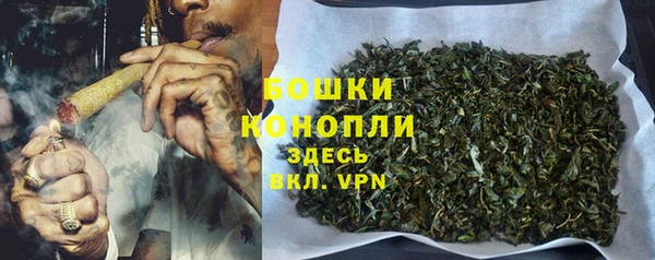 бошки Ельня