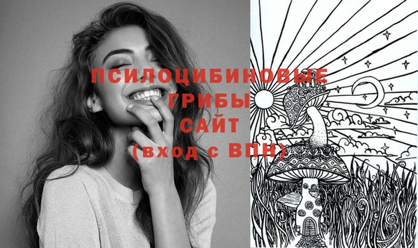 бошки Ельня
