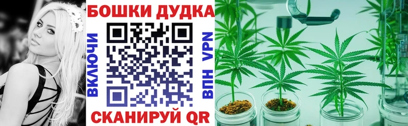 Купить закладки  Миллерово  Бошки Шишки Amnesia 